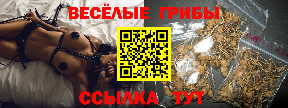 Симферополь  Псилоцибиновые грибы Magic Shrooms  Псилоцибиновые грибы Psilocybine cubensis  Вход с VPN 